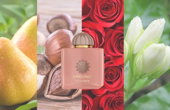 Is Amouage Guidance Long Lasting