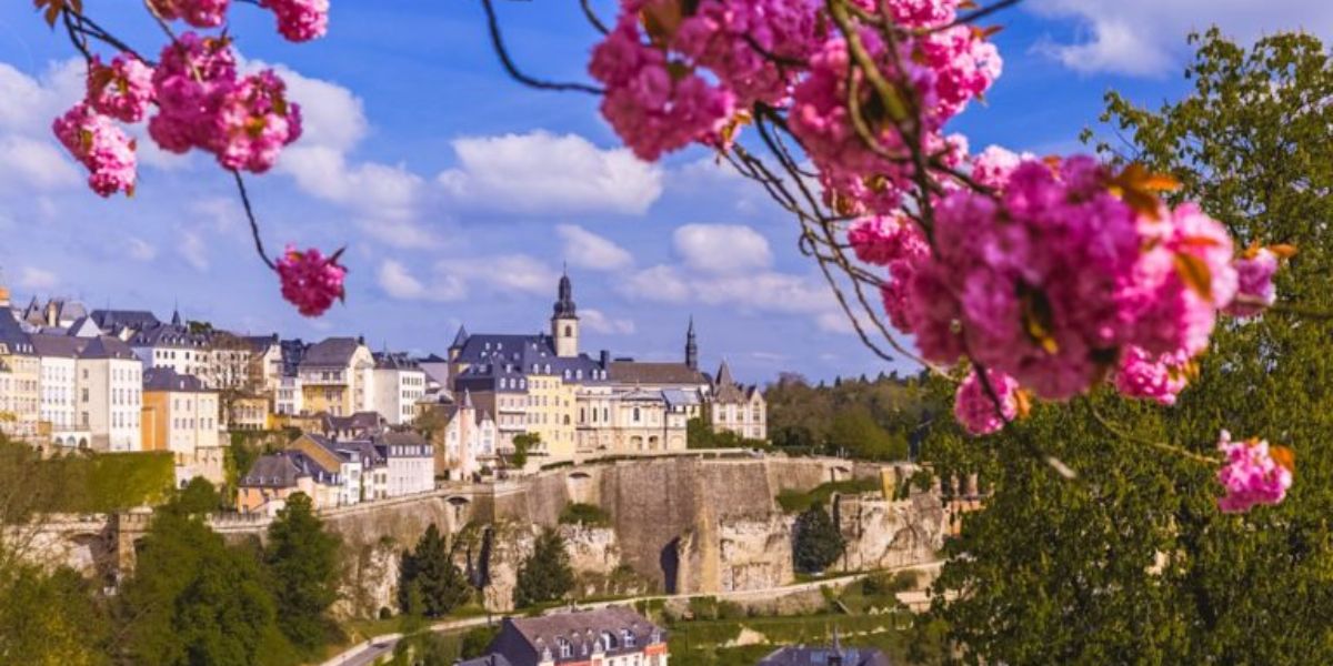 Discover Luxembourg: Unique Tour Packages Await You