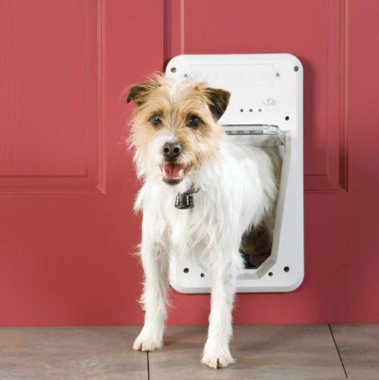 Features of the Automatic Pet Door