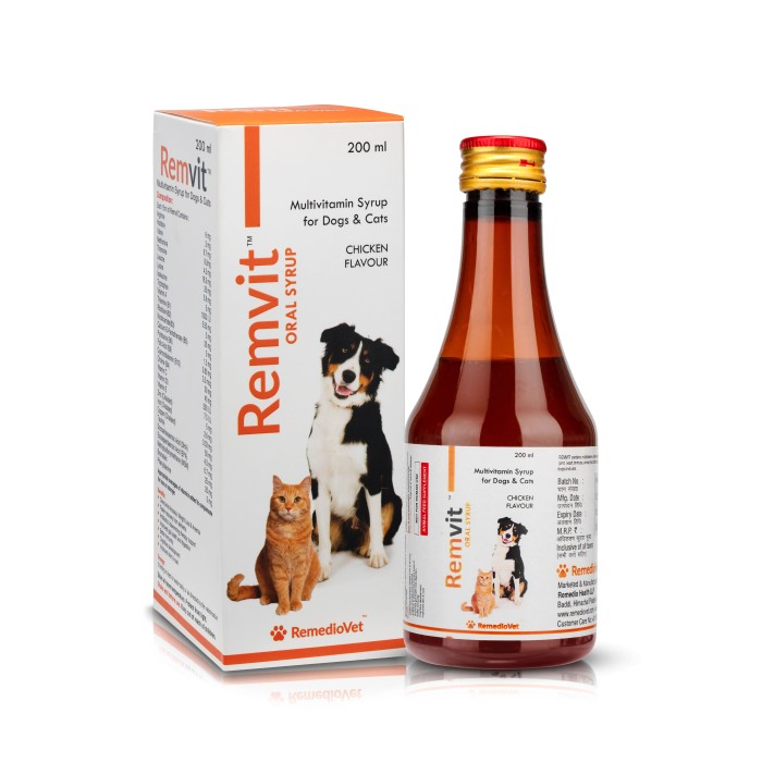 When Is the Right Time to Start Giving Your Dog Multivitamins?