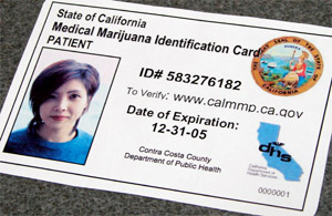 Why Choose a Same Day Medical Card Davie Over Traditional Options?