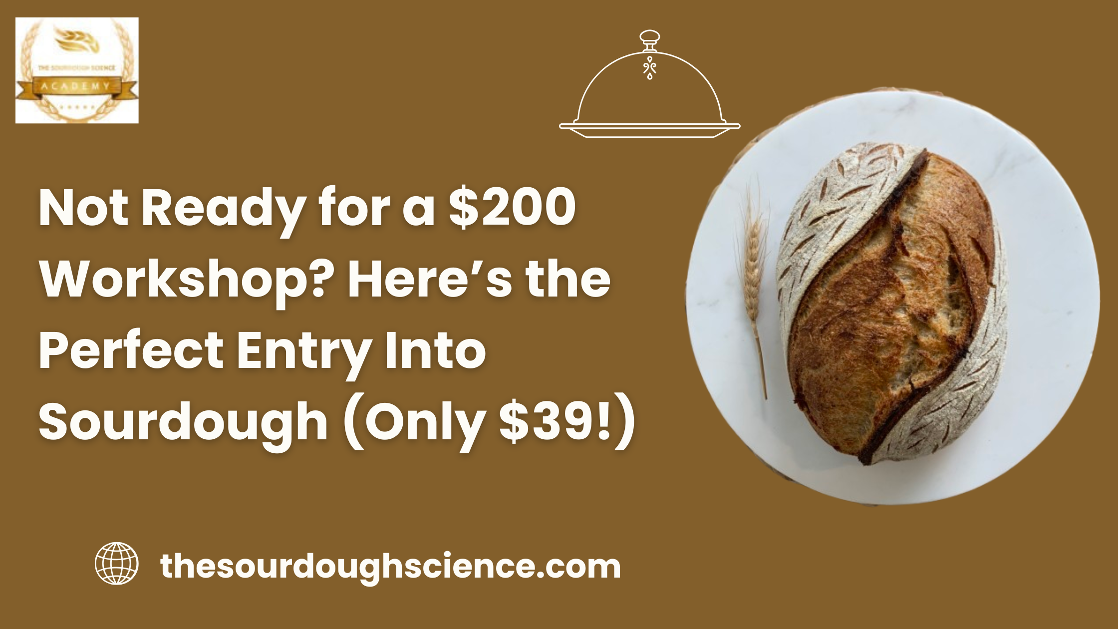 Not Ready for a $200 Workshop? Here’s the Perfect Entry Into Sourdough (Only $39!)