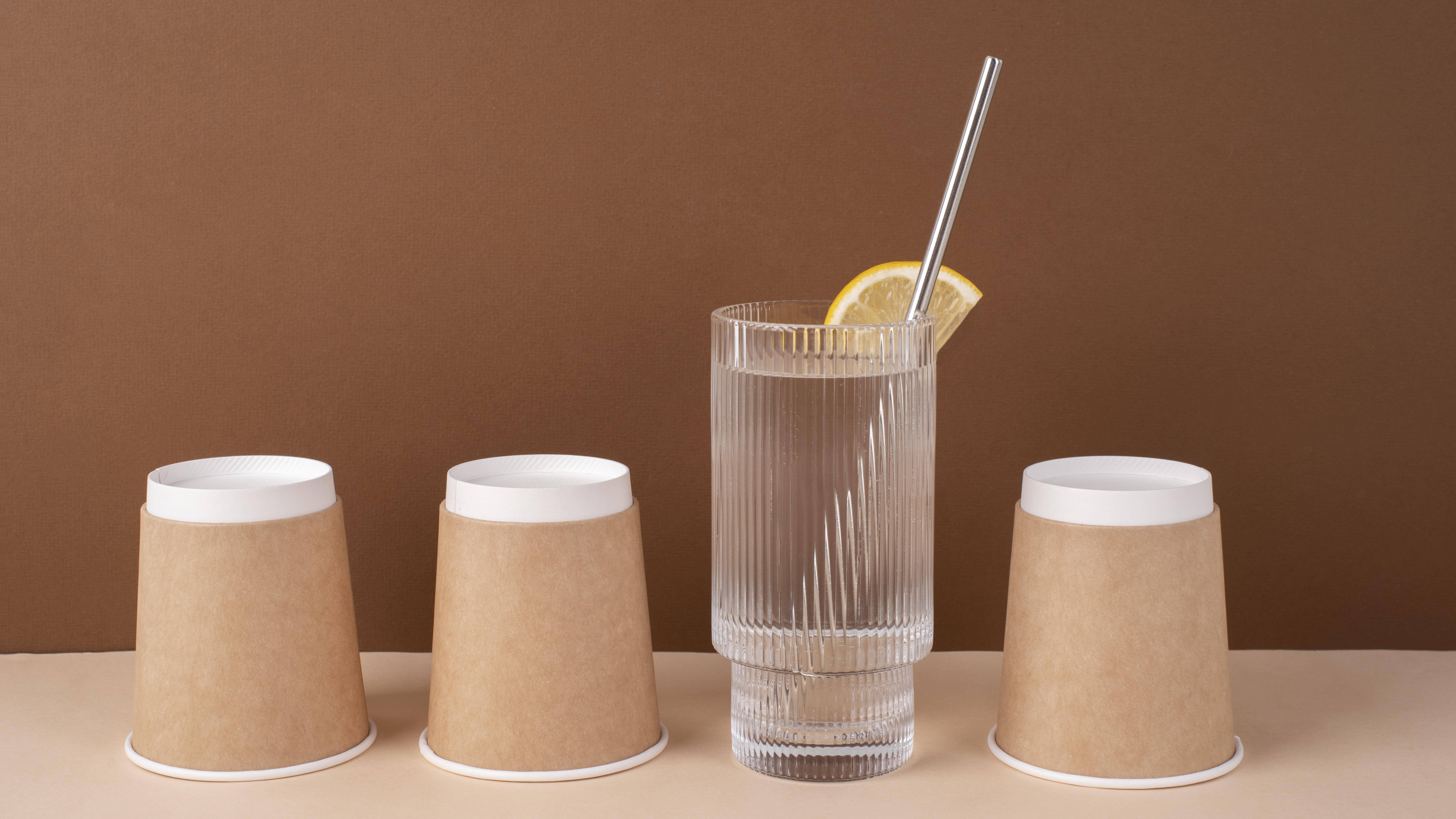 Plastic vs. Biodegradable Disposable Glasses: What to Choose?