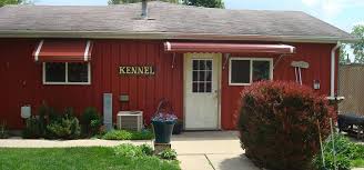 Loving and Dependable Dog Care You Can Trust