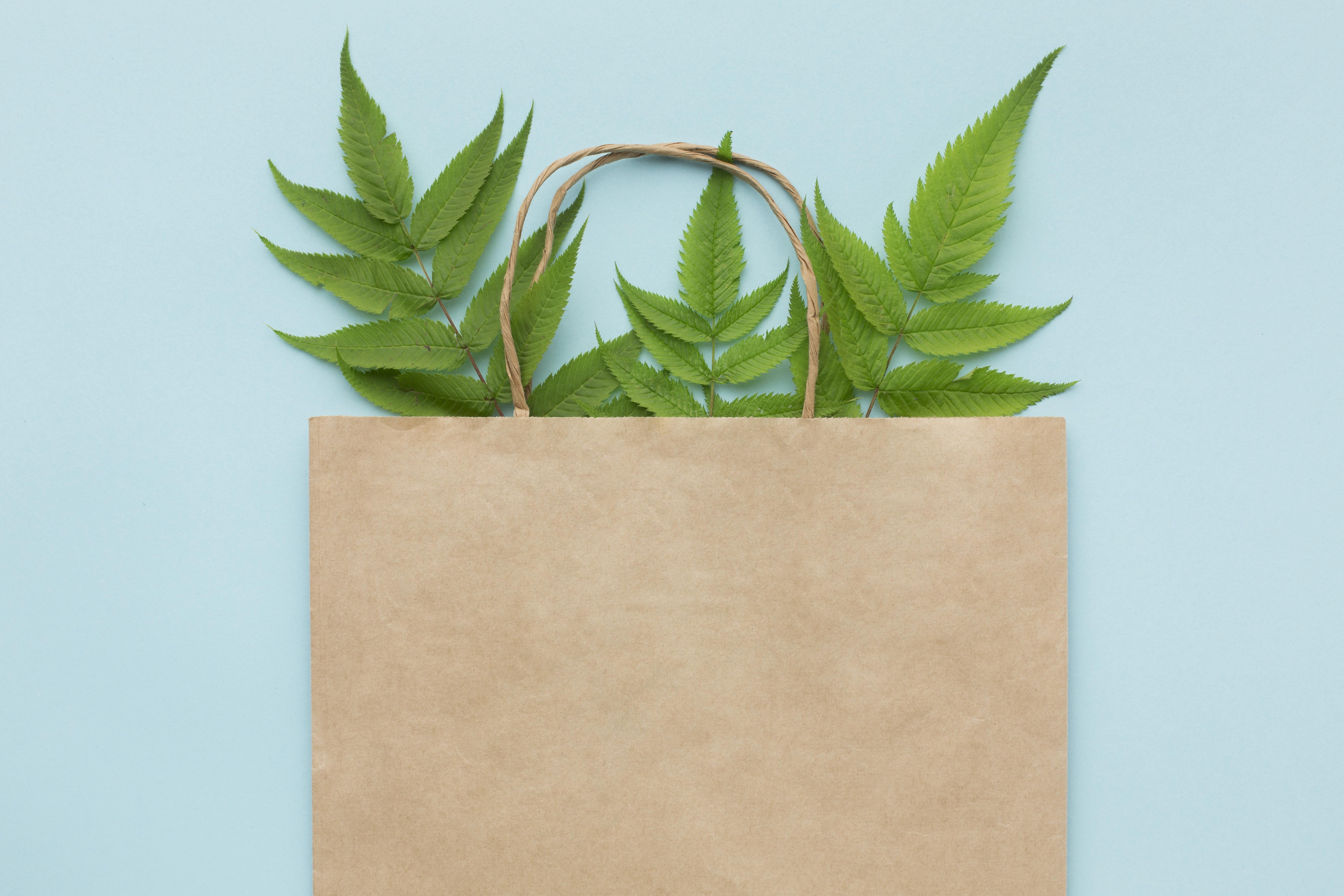 How Is Biodegradable Plastic Different from Compostable Plastic?