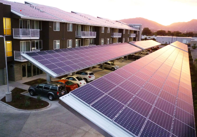 Caring for Your Solar Panels: Signs Squirrels Are Taking Over