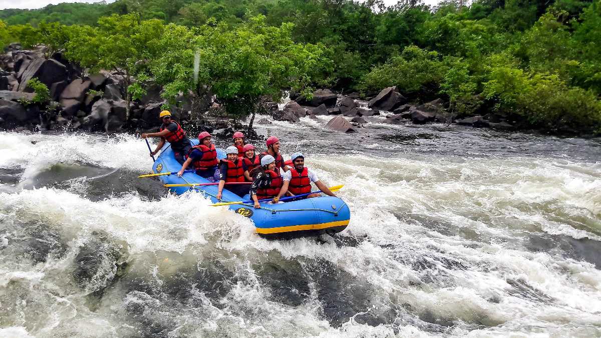 Is This the Best Dandeli Resort for Couples? – Wildernest Dandeli