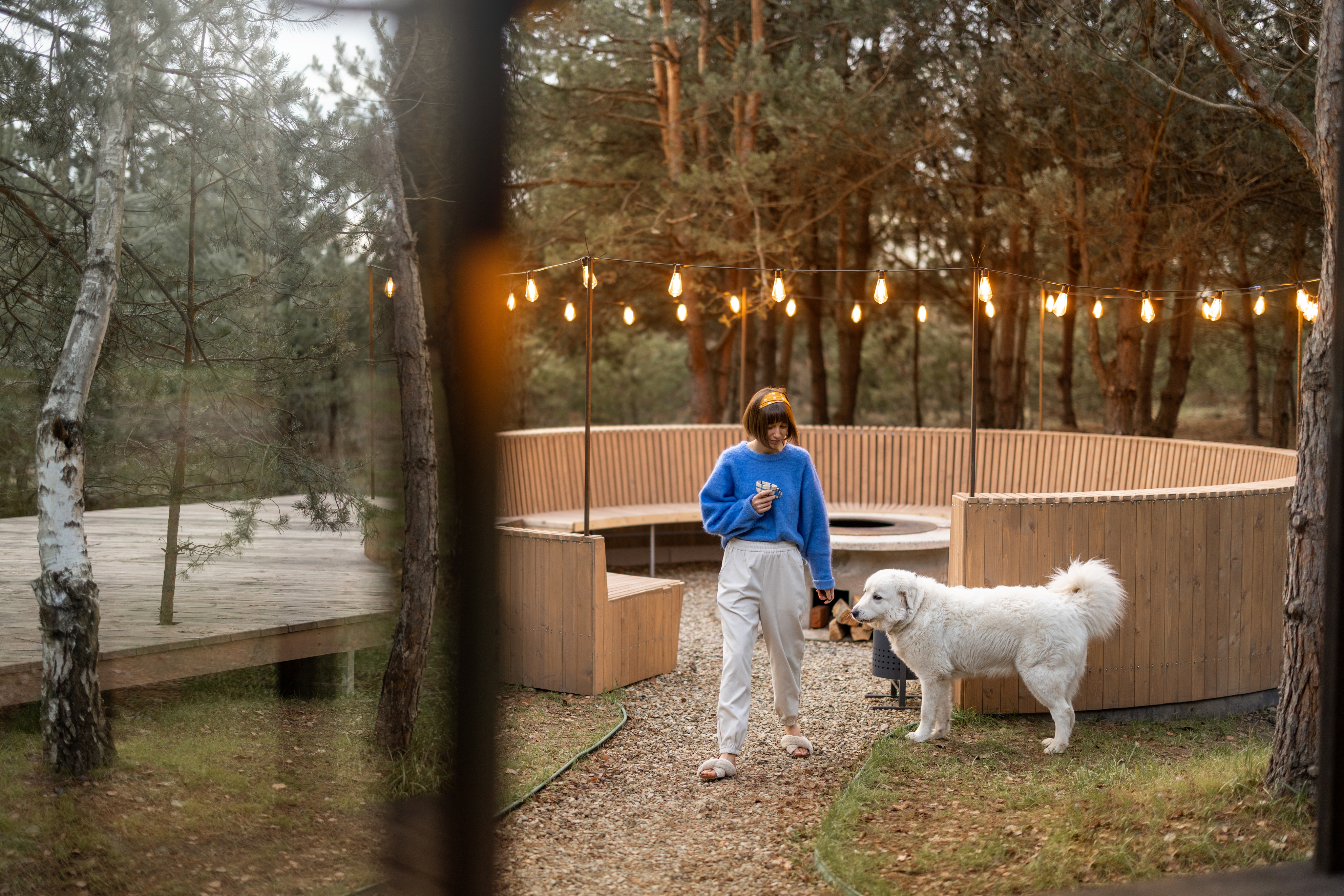 Dog Boarding in Raleigh NC for Anxious or Senior Dogs