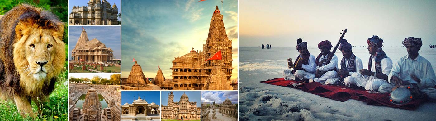 Top Gujarat Tour Packages 2025 – Explore with Us