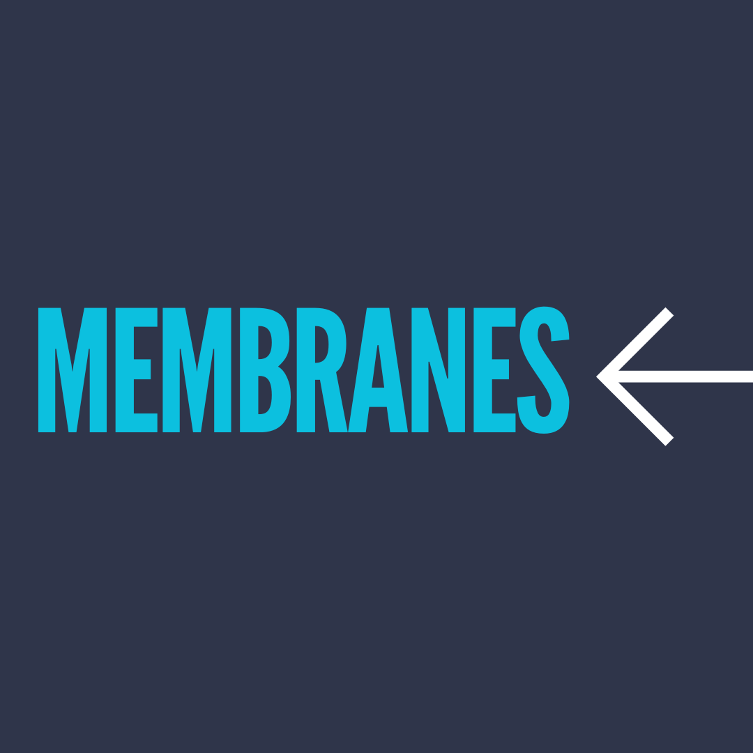 Membranes in Space Missions: Purifying Water Beyond Earth