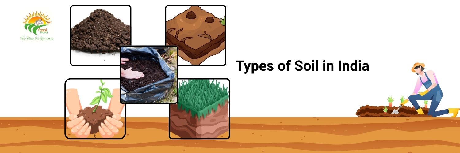 Types of Soil in India 2025: Farming, Real Estate & Climate Impact