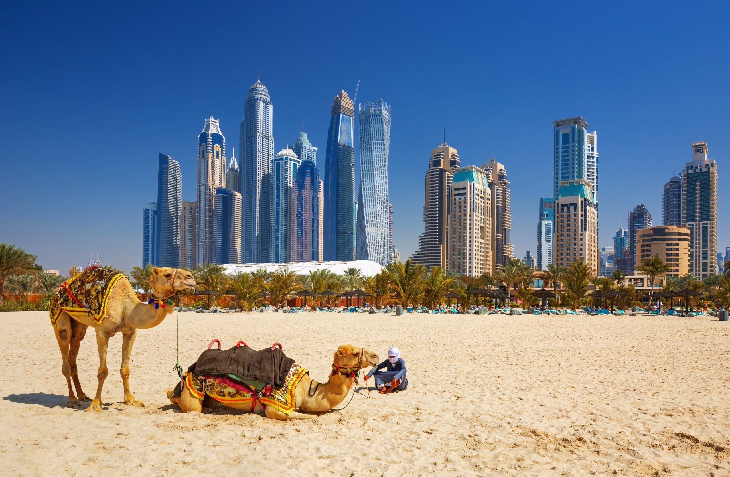 Dubai Essentials: What to See, Do, and Discover