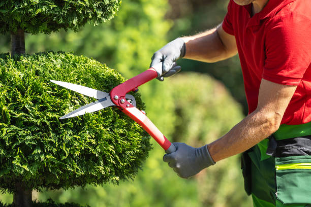 What Makes a Good Lawn Care Business Card Stand Out?