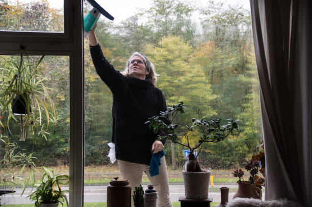 Eco-Friendly Home Cleaning Tips That Work