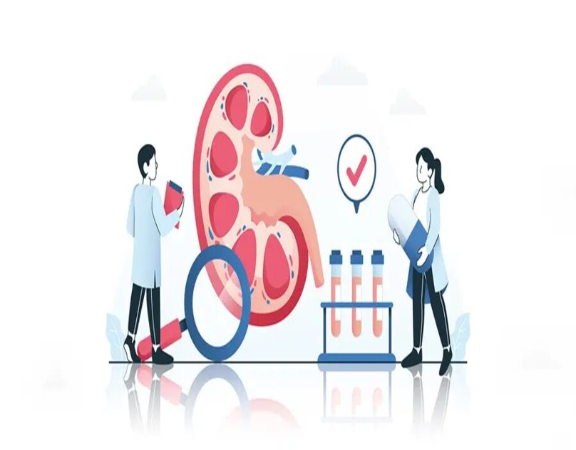 Why a Kidney Function Test Belongs in Every Yearly Checkup