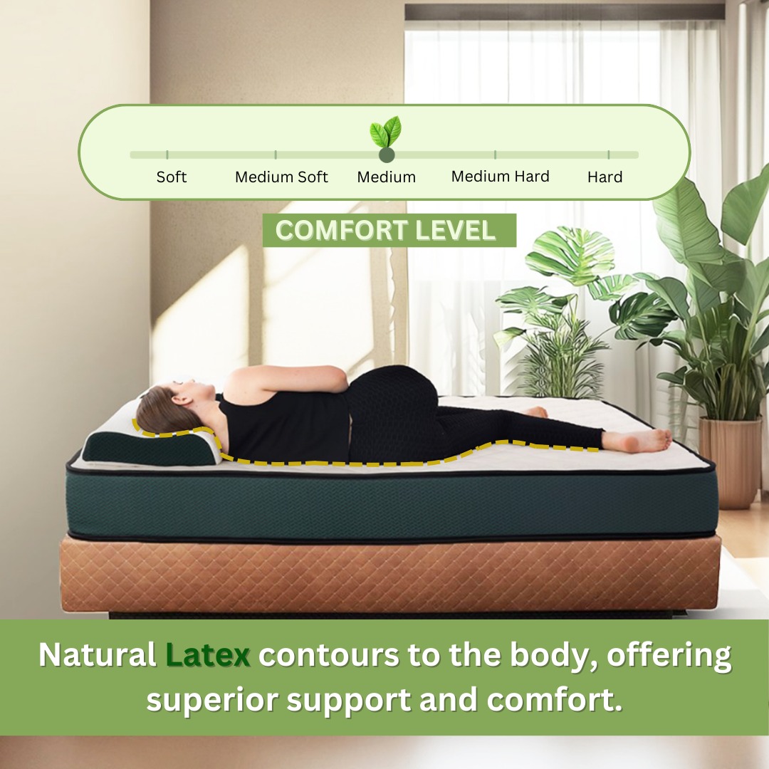Relieve Neck Pain with Natural Latex Pillows – Best Supportive Sleep Solution | Dreamzee India