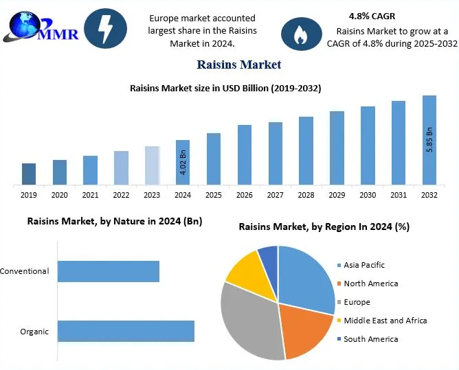 Raisins Industry Expansion 2023–2032: Key Drivers and Emerging Opportunities