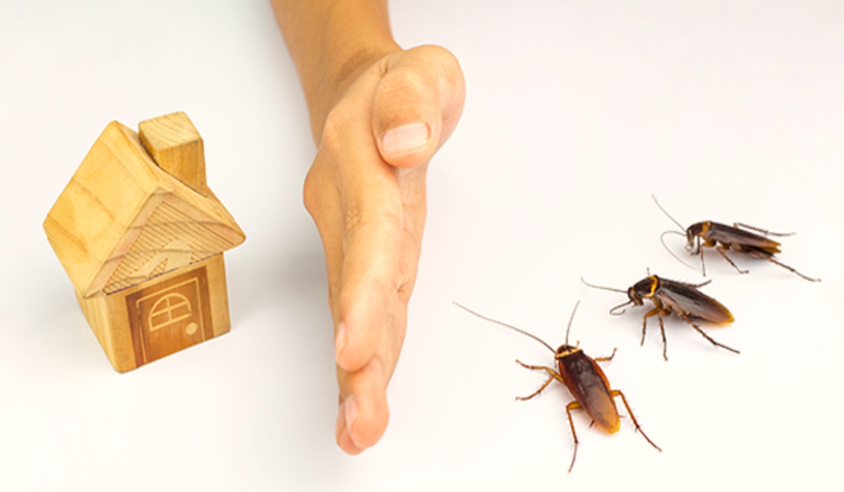 Is the Household Insecticides Market Worth a USD 29.6 Billion Investment?