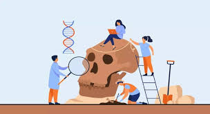 How Online Anthropology Dissertation Help Services Can Boost Your Academic Success