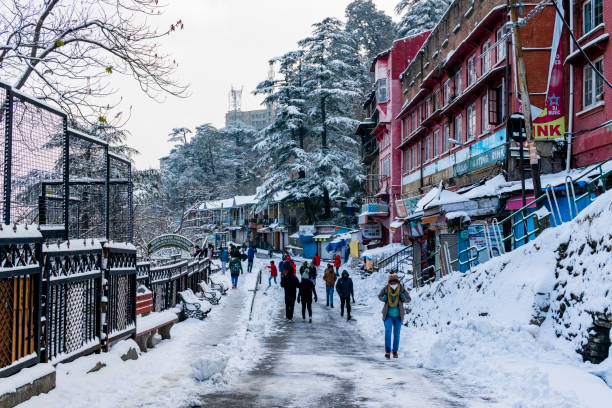 Chandigarh to Manali Taxi