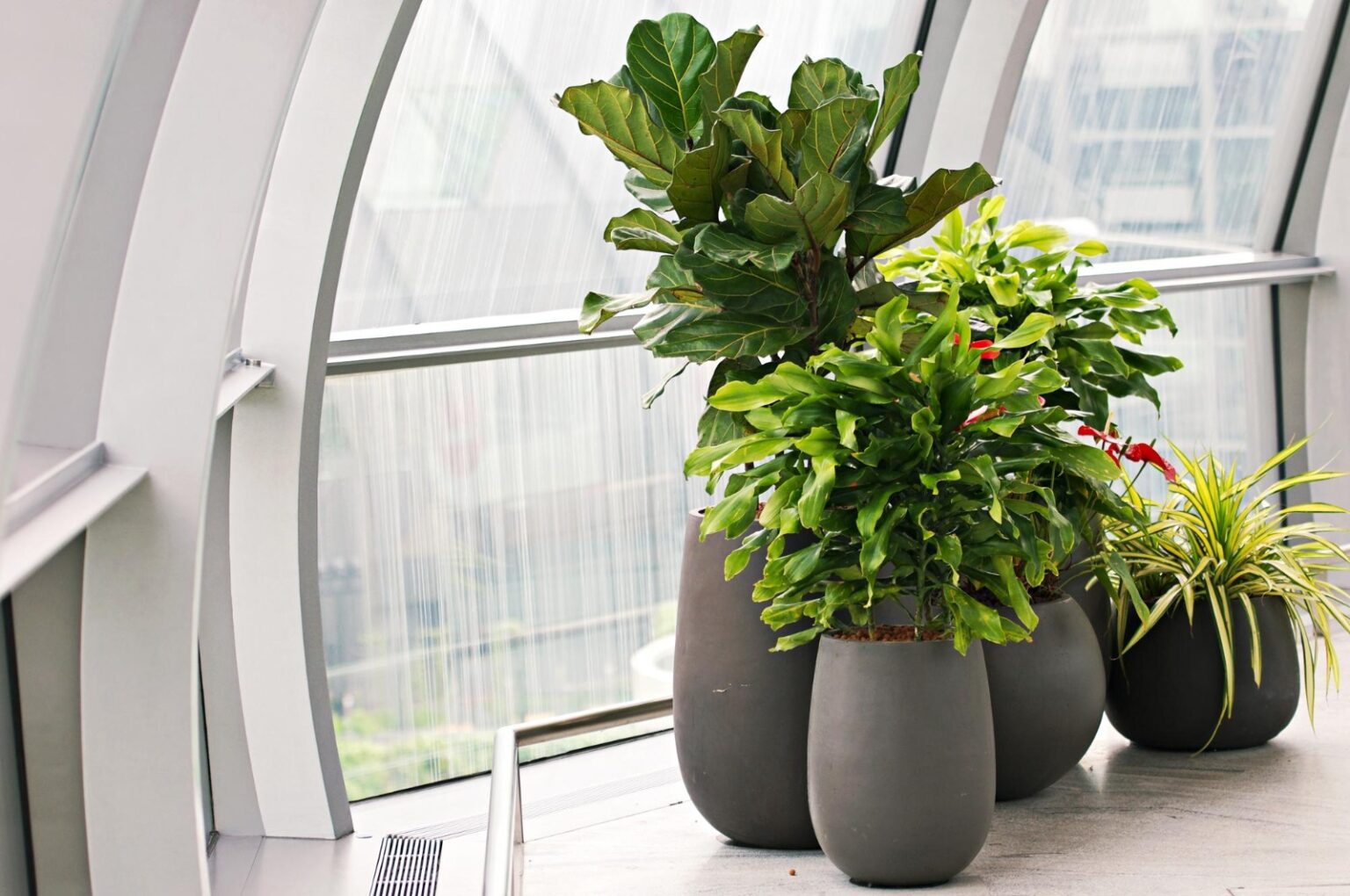 Add Life to Your Space with Stylish Indoor Planters