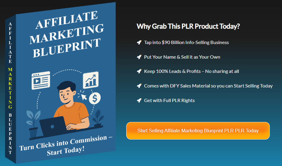 DFY Funnel Affiliate Marketing Blueprint PLR Review 2025