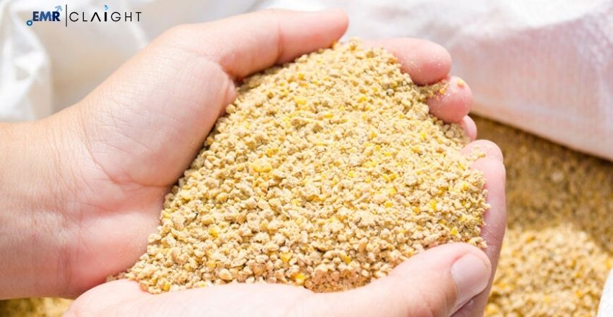 Feed Additives Market Outlook: Size, Share & Growth Forecast 2025–2034