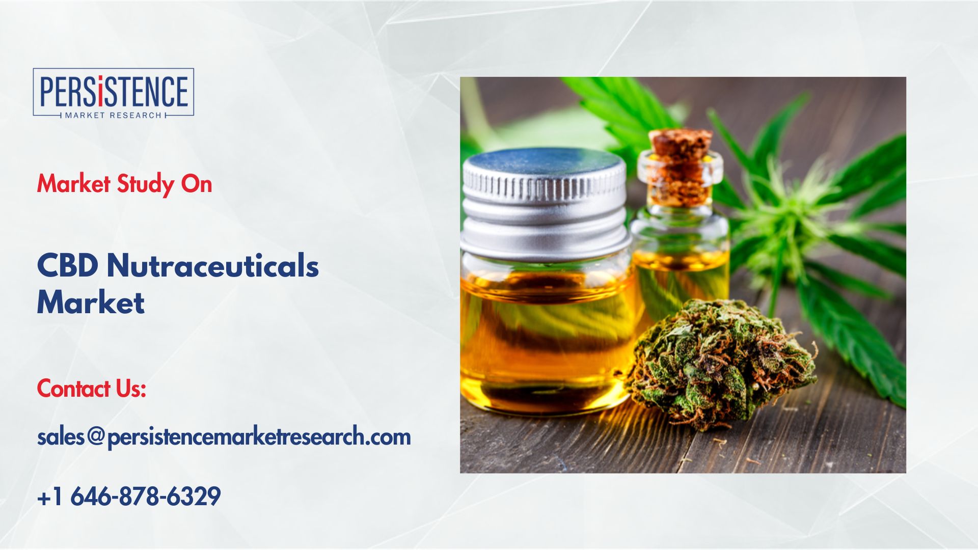 CBD Nutraceuticals Market Regional Outlook Highlights North America Leadership