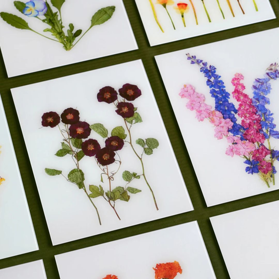 Nature’s Elegance Preserved: The Timeless Allure of Pressed Flower Artwork