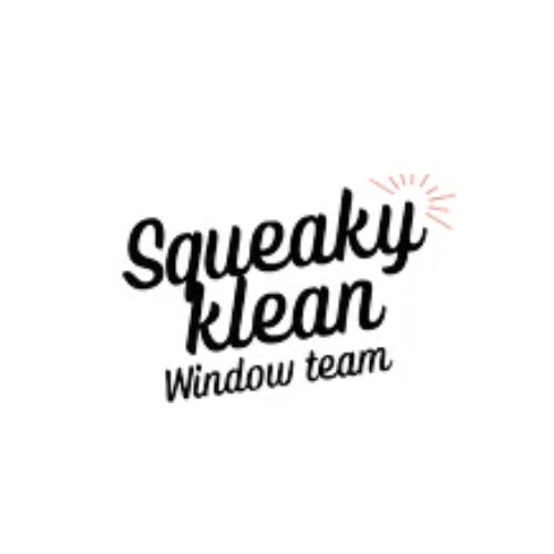 Squeaky Klean Window Team: Reviving Your Home with Roof Pressure Washing in Midland, Columbus
