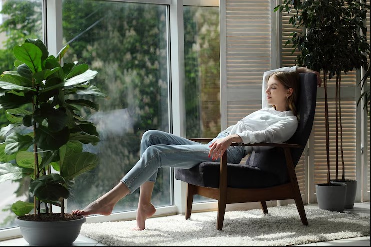 Which Indoor House Plant Should I Buy for Home?