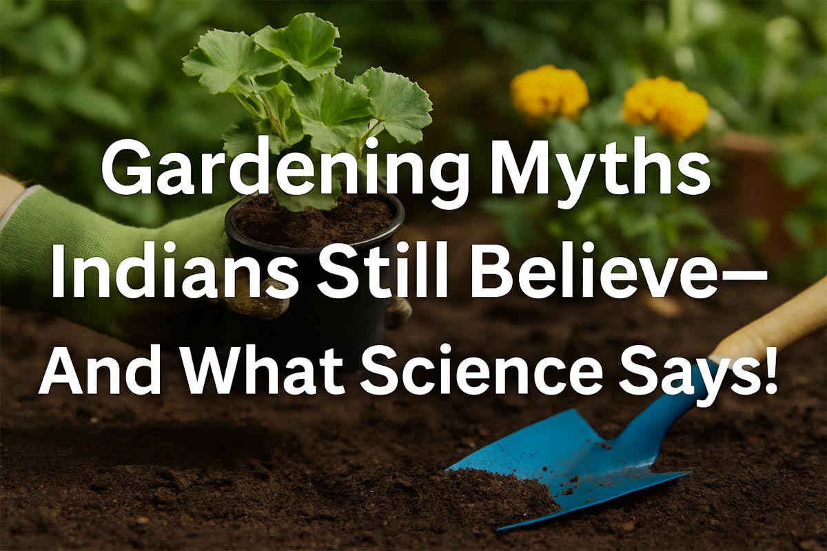 Gardening Myths Indians Still Believe – And What Science Says!