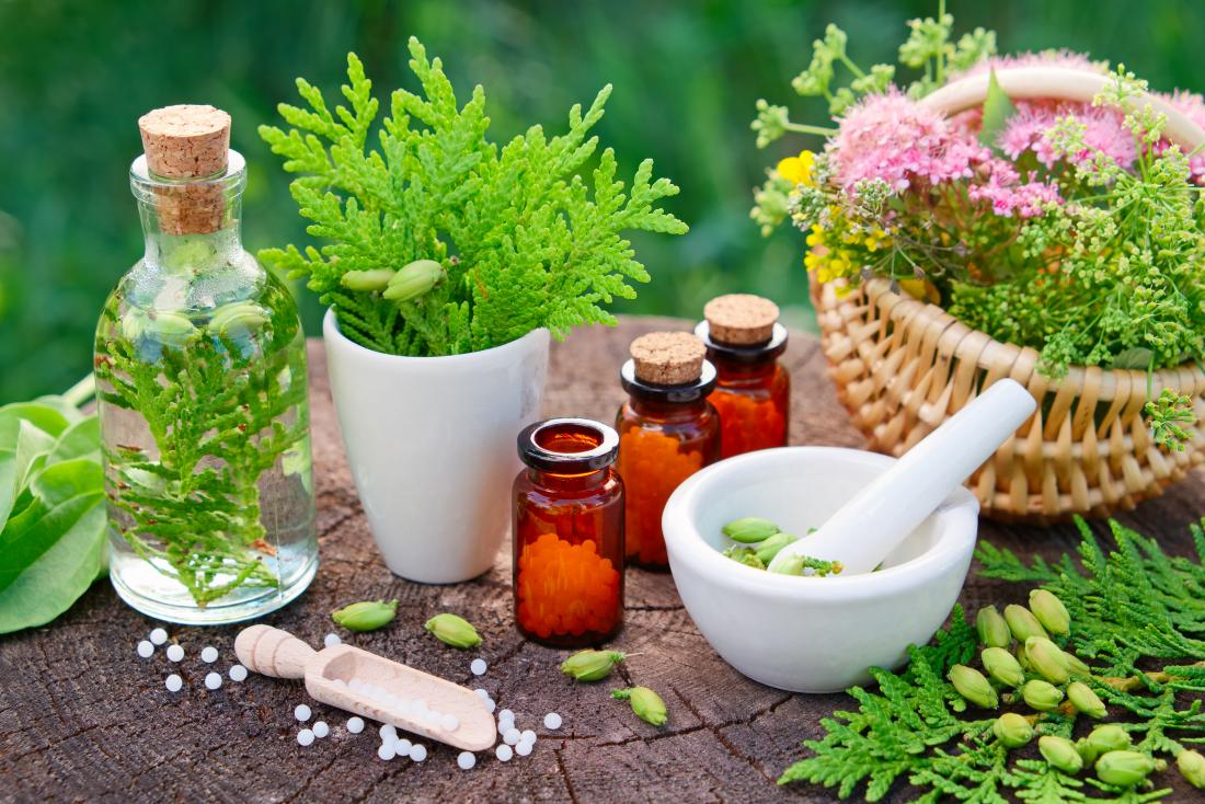 Berberis Vulgaris Uses in Hindi