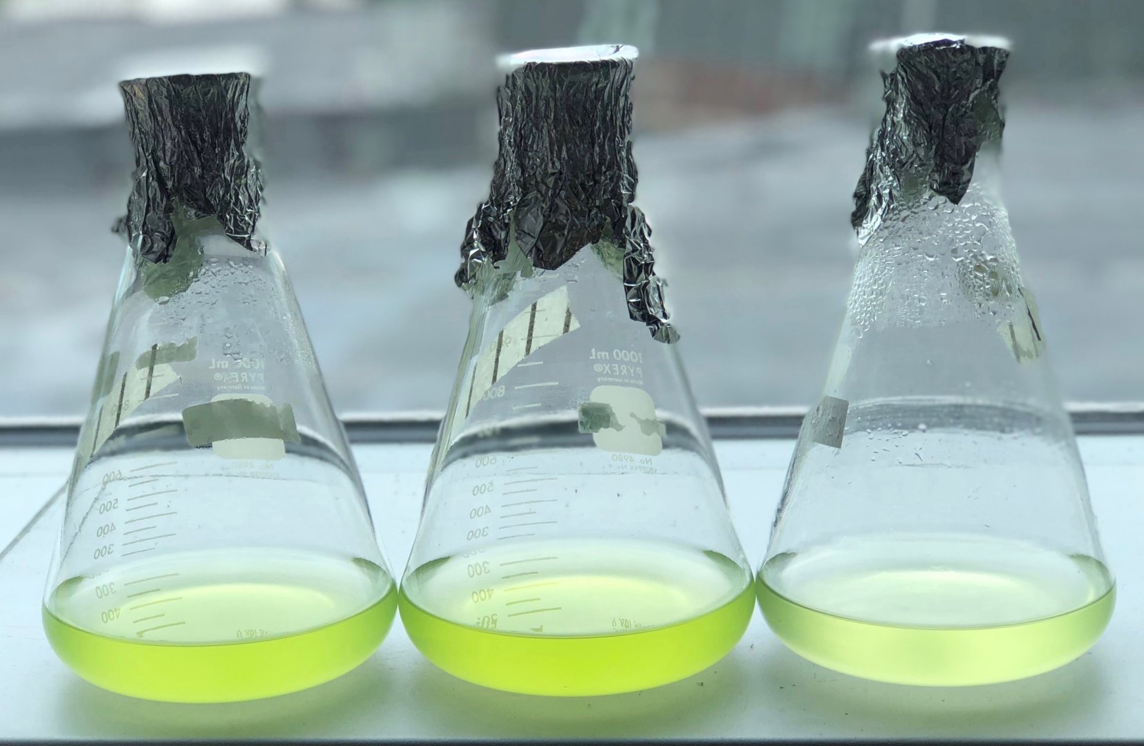 Algae Based Biofuel Production Cost Analysis Report 2025: Project Details and Machinery Requirements