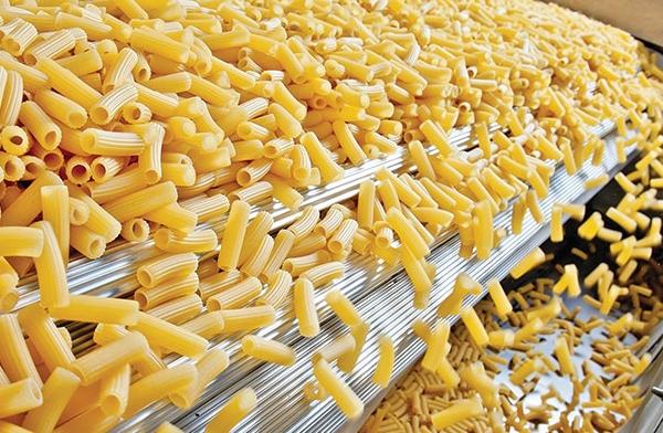 Pasta Manufacturing Plant Project Report 2025: Unit Setup Cost and Machinery