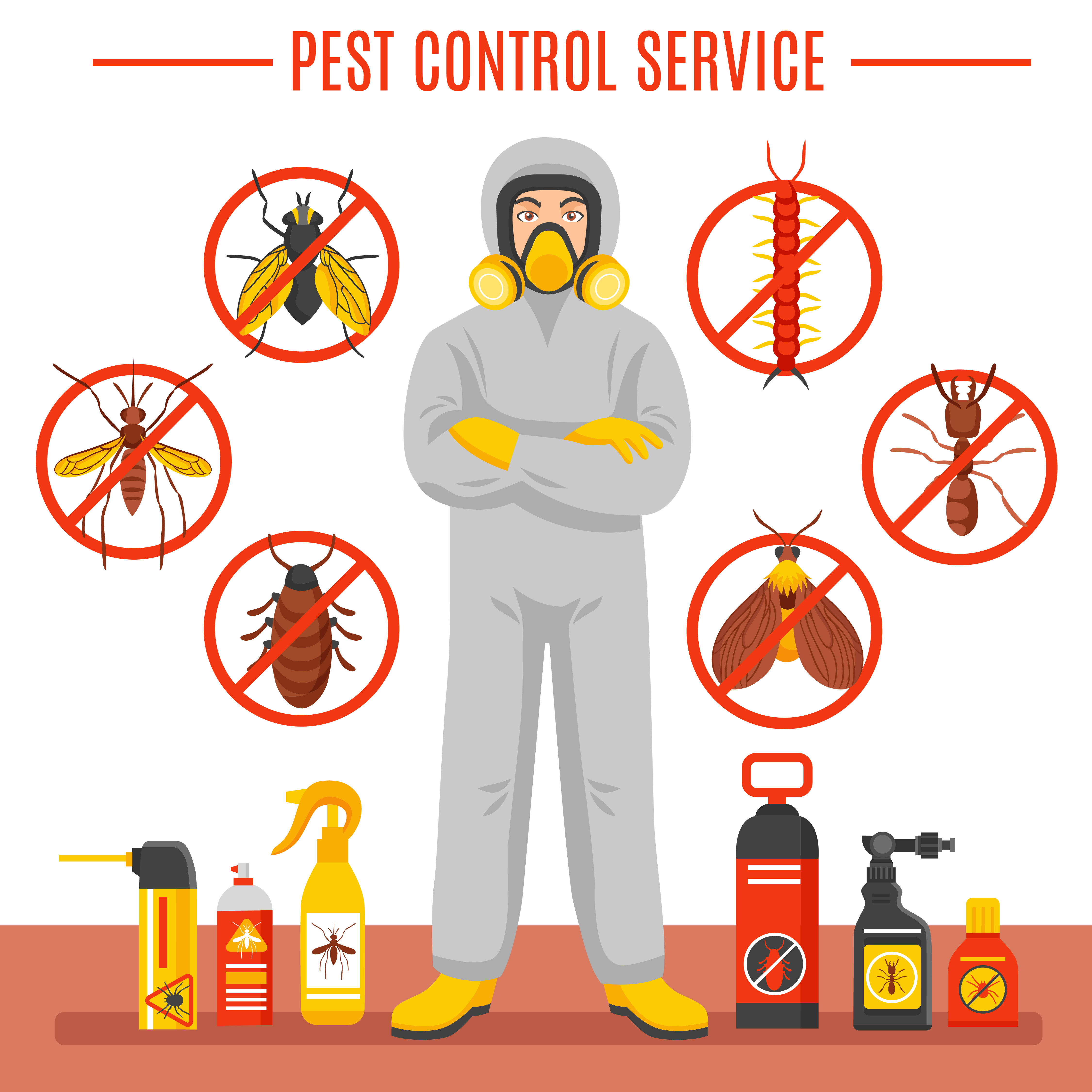 Pest Control Services Melbourne Locals Swear By: Fast, Safe & Guaranteed Solutions