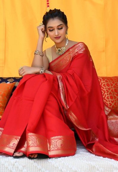 Indian Sarees USA Online Shopping: Timeless Elegance at Your Fingertips with Rani Zaver