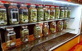 Is the Cheapest Dispensary in Massachusetts Worth the Hype?