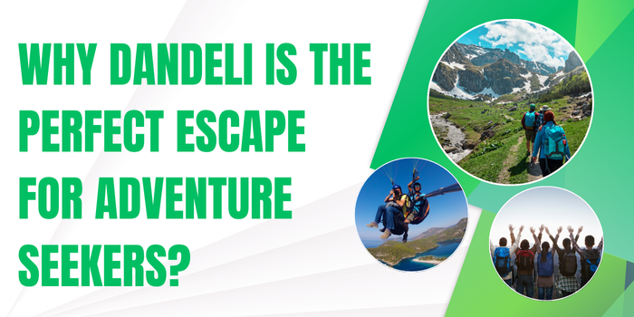 Why Is Dandeli the Perfect Escape for Adventure Seekers?