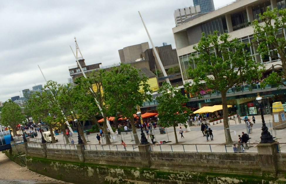 Why Tree Reports Are Crucial for Safe Property Development
