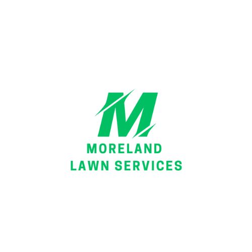 Lawn Aeration Service in Hamilton, Georgia