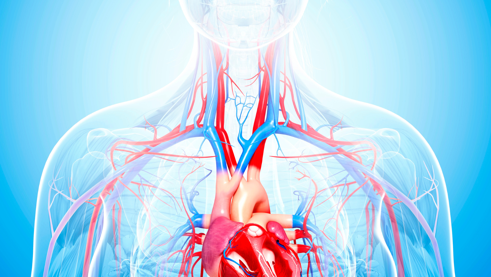 A Clinical Study on Fatty acid Supplementation and Cardiovascular Parameters in Hypertensive Adults