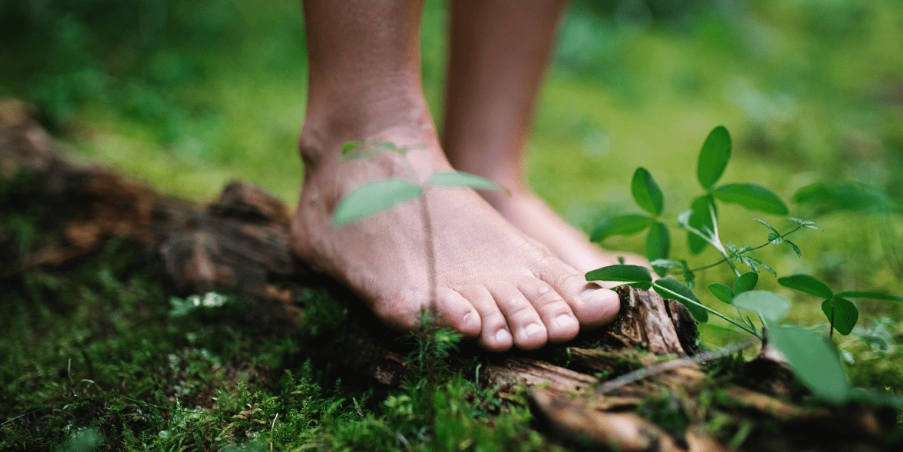 The Science Behind Earthing: How It Benefits Your Health