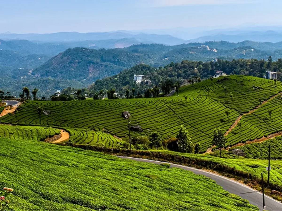 Kerala Munnar Tour Guide: What to See, Do & Eat