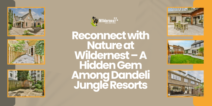 Reconnect with Nature at Wildernest – A Hidden Gem Among Dandeli Jungle Resorts