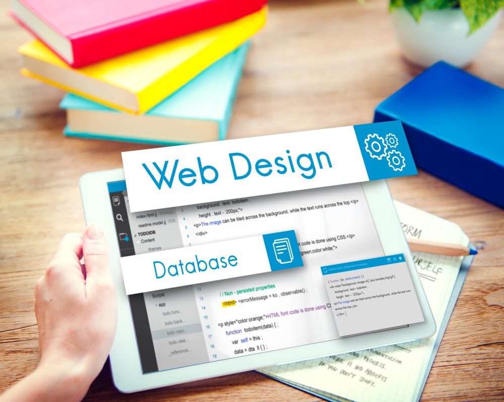 How to Start Learning Web Design from Scratch in 2025?