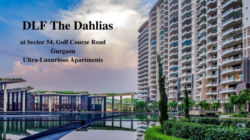 DLF The Dahlias | Offers Elite Urban Living in Gurgaon