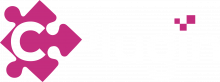 How IB Plugins Enable Real-Time Market Data Streaming?