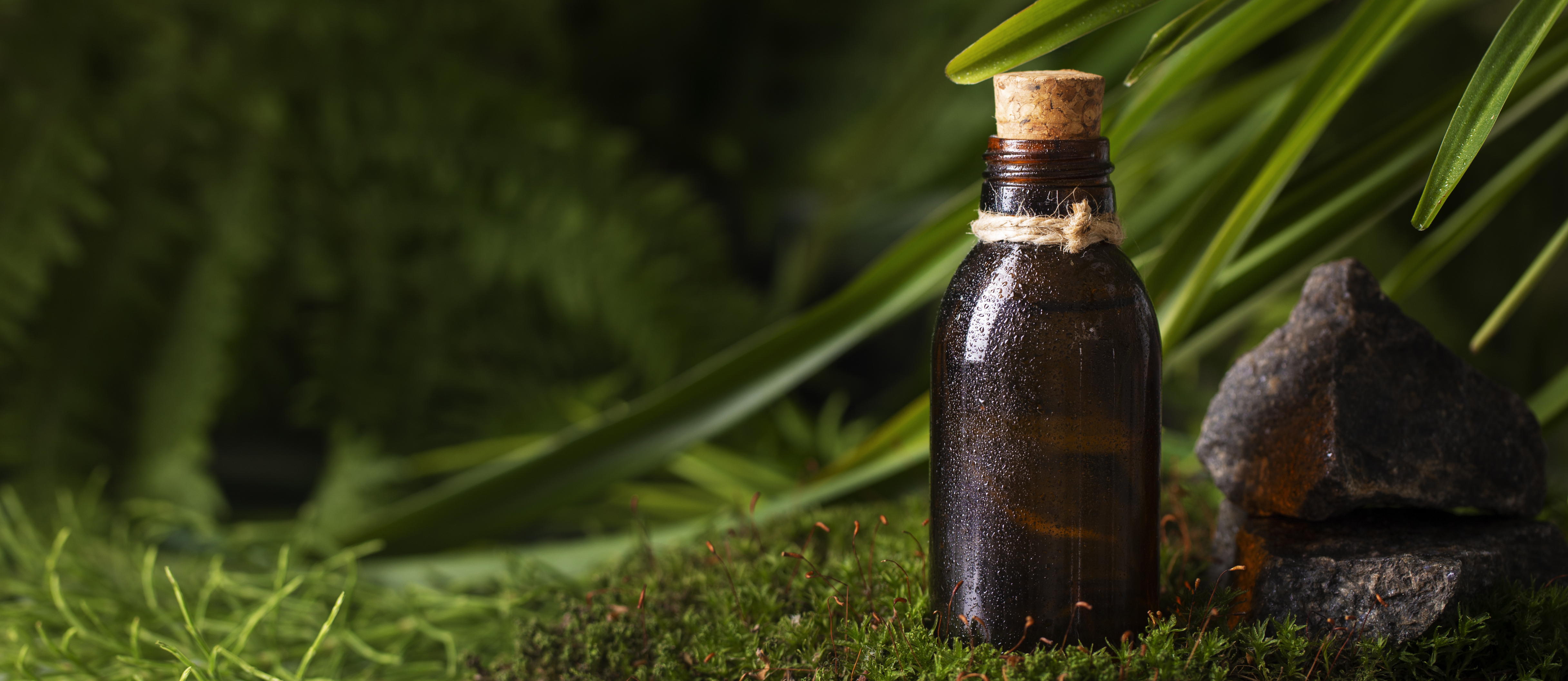 Wishing Bottles for Love, Luck & Abundance: A Spiritual Guide