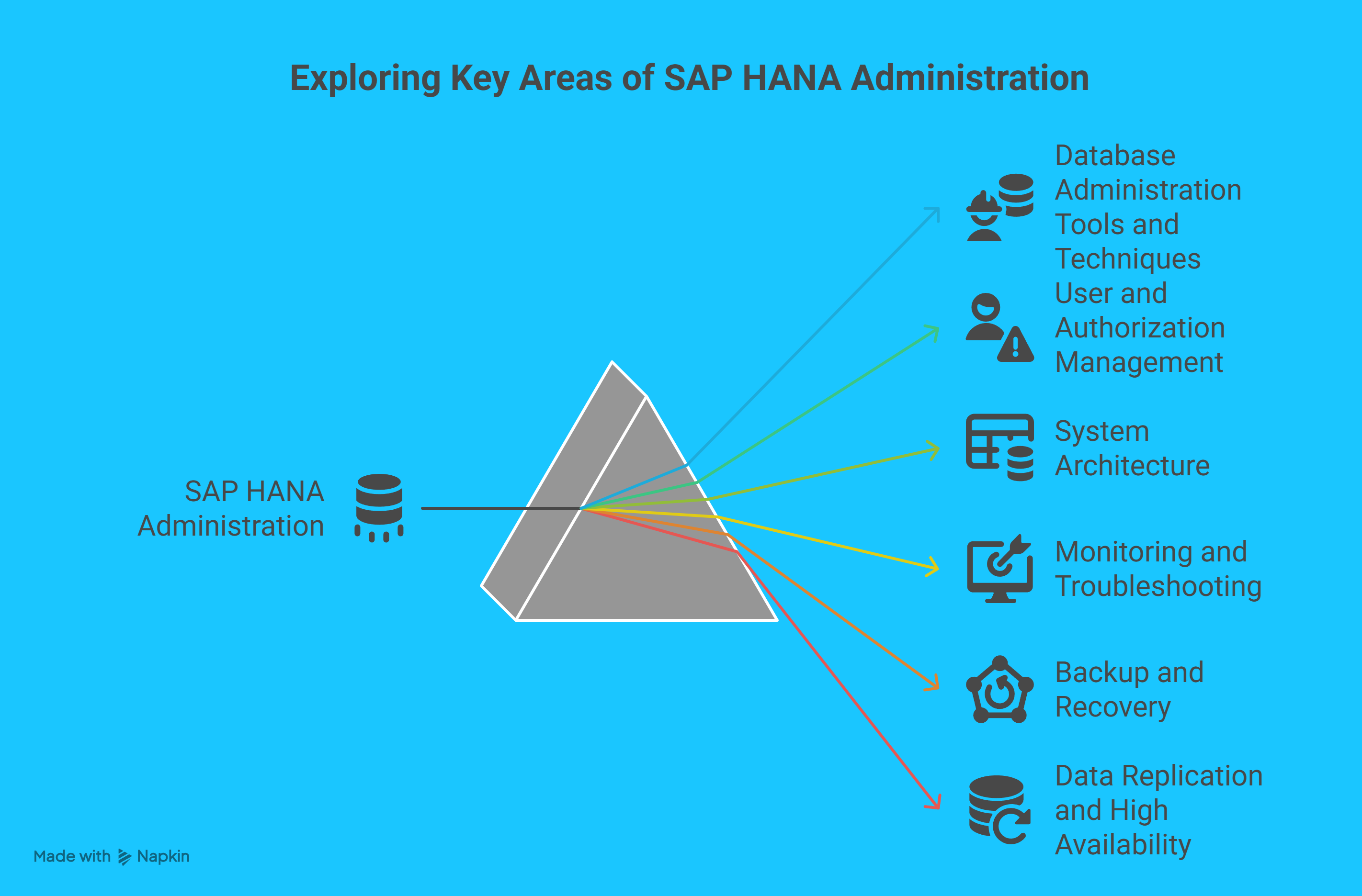 How to Use C_DBADM_2404 Dumps to Clear the SAP HANA Database Administrator Exam?